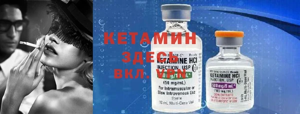 гашик Алексин
