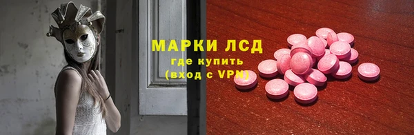 гашик Алексин