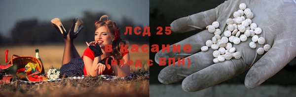 дмт Абаза