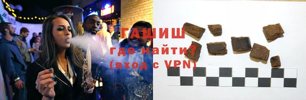 гашик Алексин