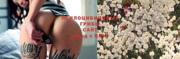СК Алзамай